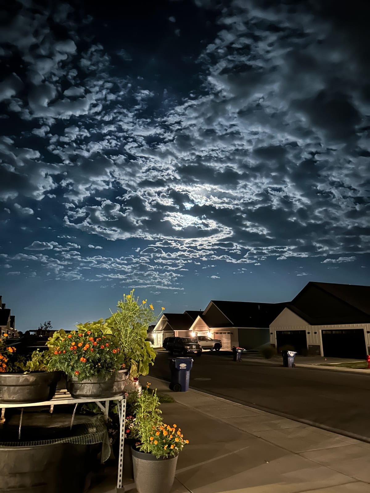 Magical Night Sky ✨🌙