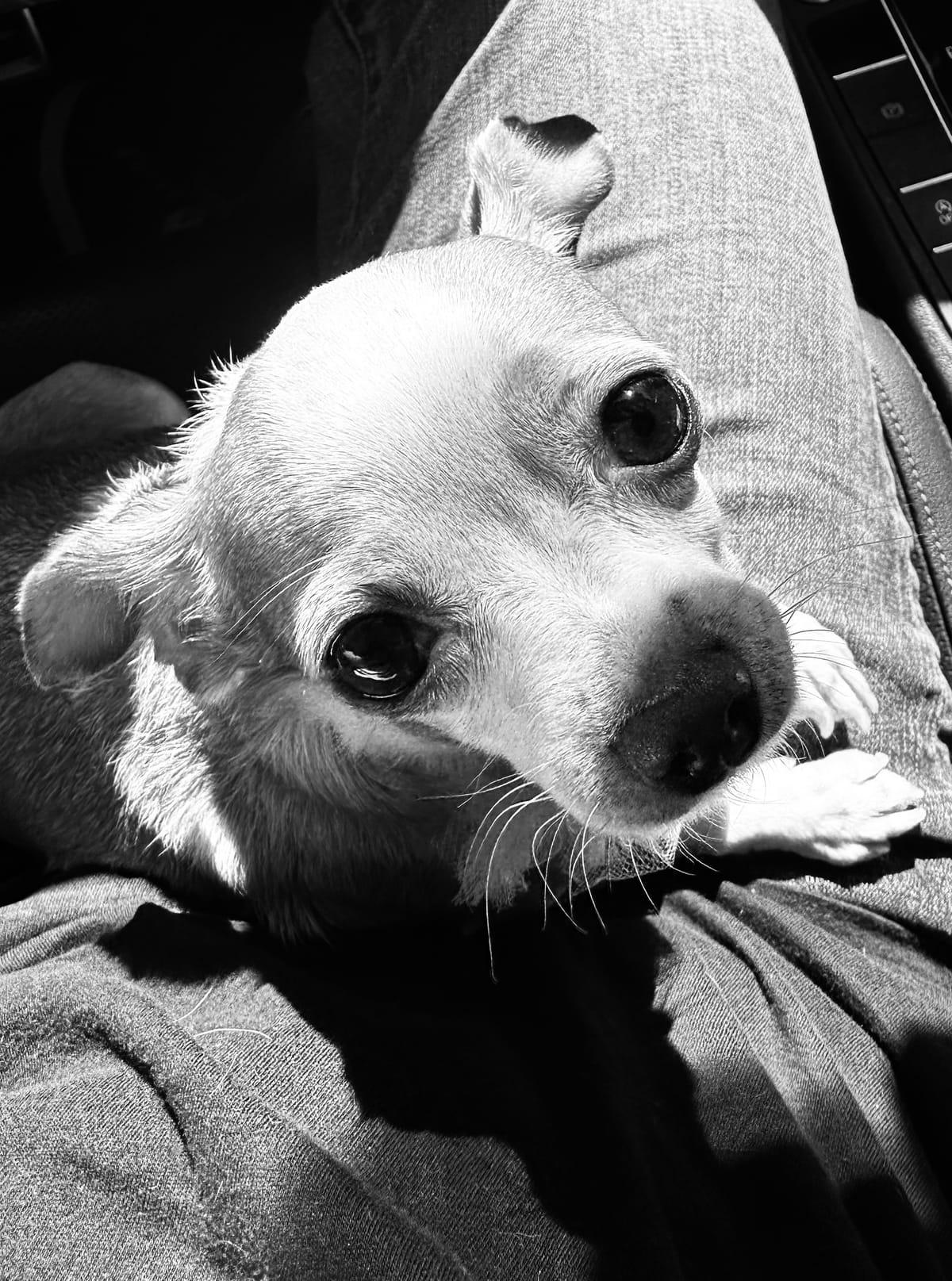 Soulful Eyes 😍