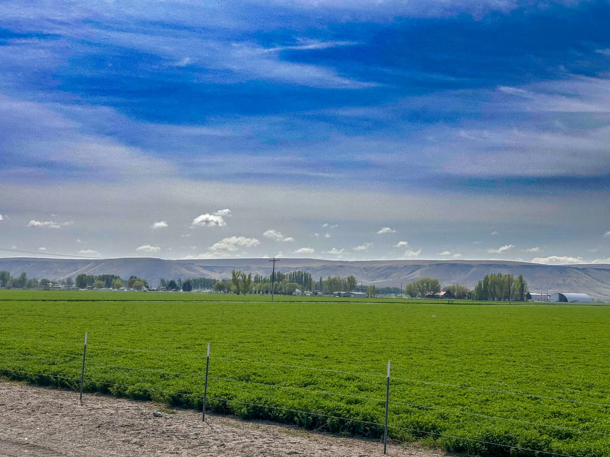 Peaceful Country Drive ππΎ